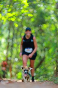 BIB: 
                            <button type="button" onclick="openModal(19014440)" class="btn btn-primary btn-sm float-right btn-popup" data-toggle="modal" data-target=".modal-high-quality">
                        <i class="fas fa-shopping-cart"></i> Add to Cart
                    </button>
                                            <button type="button" onclick="isThisMe(19014440, true)" class="btn btn-success btn-sm float-right btn-popup btn-isme hidden" data-toggle="tooltip" data-placement="bottom" title="นี่คือรูปของคุณใช่ไหม คลิกที่นี่เพื่อเอาเข้าอัลบั้ม">
                        <i class="fas fa-plus"></i> Add to album
                    </button>
                    <button type="button" onclick="isThisMe(19014440, false)" class="btn btn-warning btn-sm float-right btn-popup btn-isnotme hidden">
                        <i class="fas fa-ban"></i> Remove from album
                    </button>